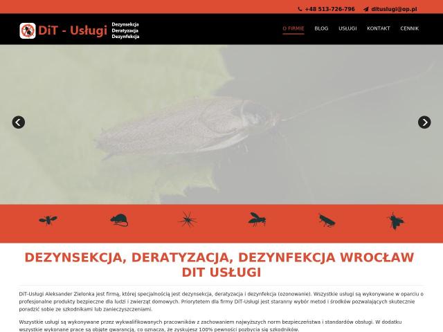 DiT-Usługi